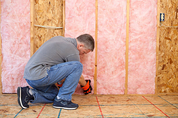 Best Insulation Maintenance and Repair in Treasure Lake, PA