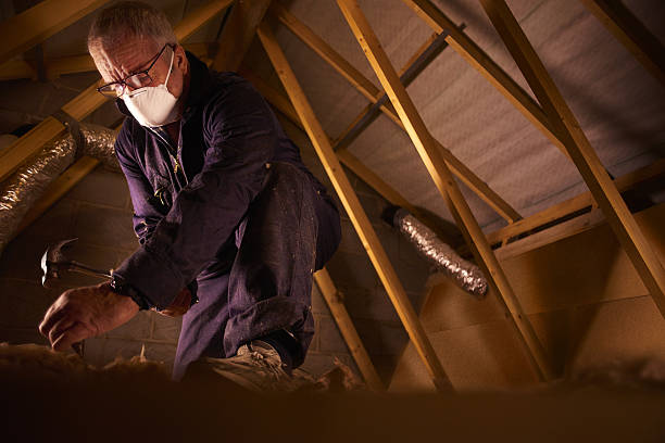 Best Insulation for Specific Applications in Treasure Lake, PA